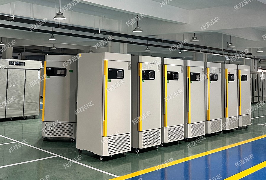 1701854135251610.jpg 云農6.jpg