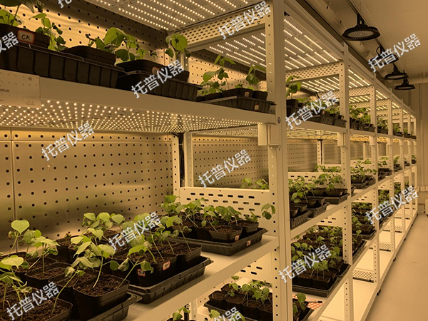 1741253420833048.png 2.png