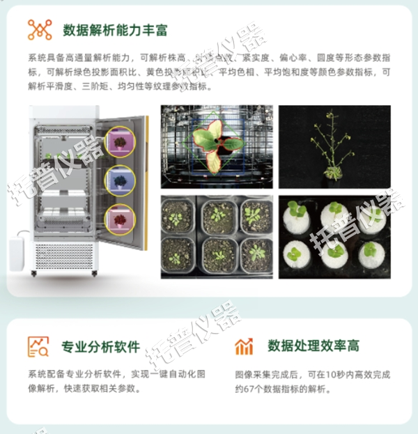 1742197953873610.png 11.png