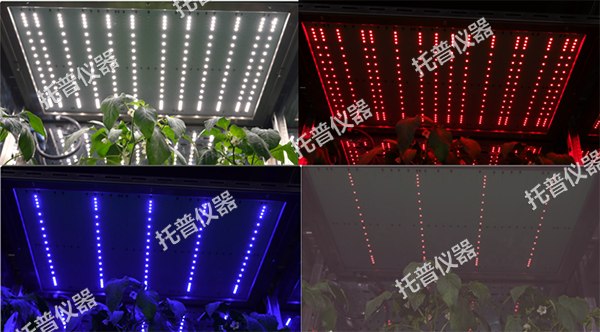 1744610653702389.png 圖片2.png