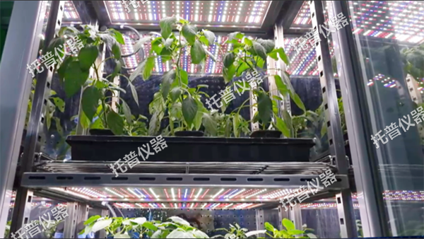 1744610664450083.png 圖片3.png