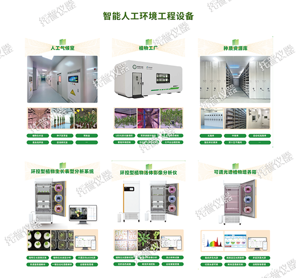 1744611294616749.png 4.png