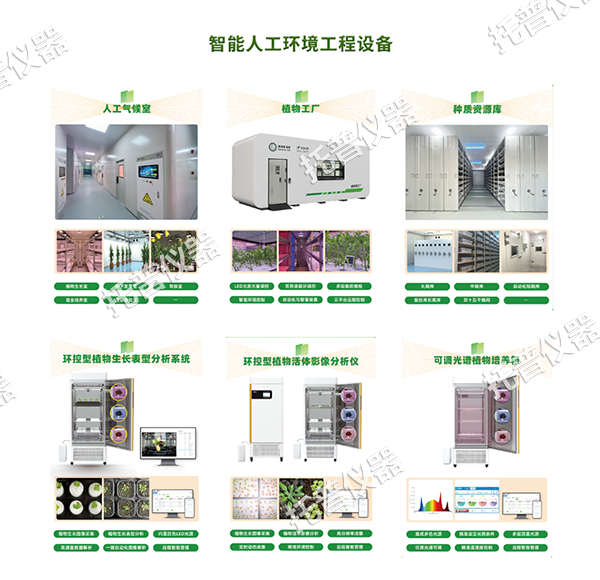 1754897505157061.png 圖片1.png