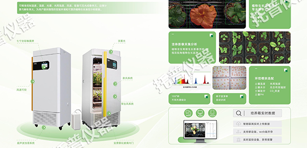 1754897541322494.png 圖片5.png